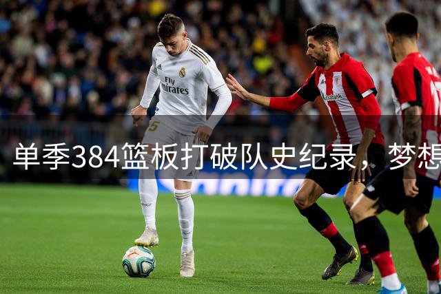 单季384篮板打破队史纪录，梦想队为Reese送上新外号