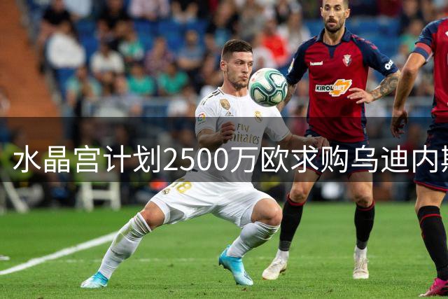 水晶宫计划2500万欧求购乌迪内斯后卫索勒