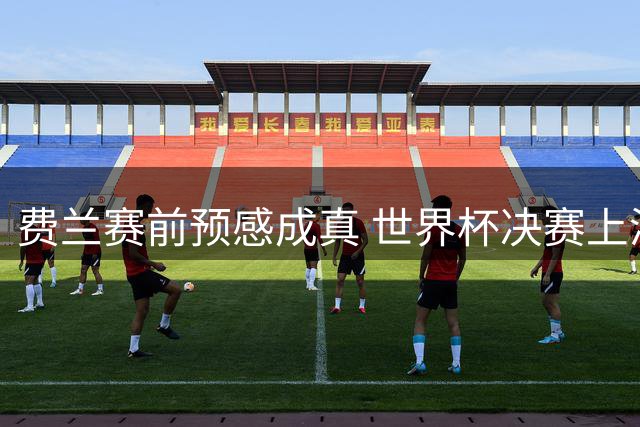 费兰赛前预感成真 世界杯决赛上演高光时刻