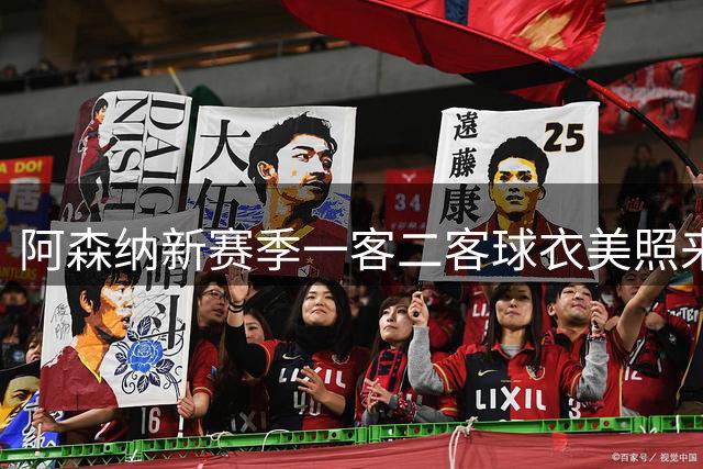 阿森纳新赛季一客二客球衣美照来一波~