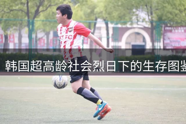 韩国超高龄社会烈日下的生存图鉴：两千白发劳工在40℃高温中拾荒谋生